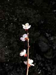 Similar image 21320383