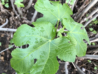 Similar image 21320386