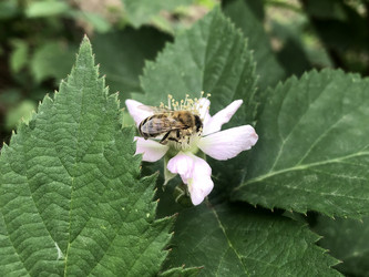 Similar image 21320387