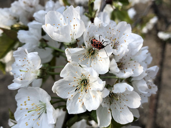 Similar image 21320390