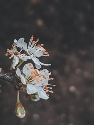 Similar image 21320391