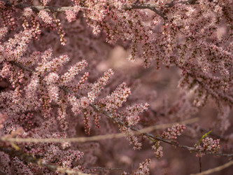 Similar image 21320903