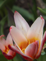 Similar image 21320908