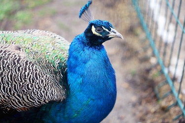 Similar image 21320928