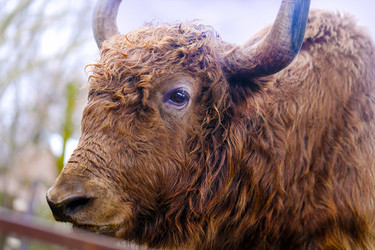 Similar image 21320935