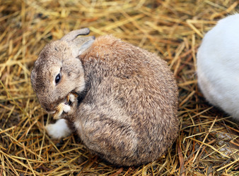 Similar image 21320959