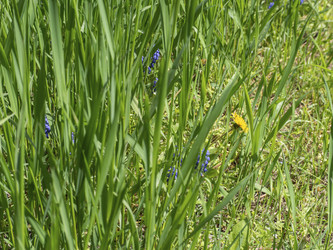 Similar image 21320960