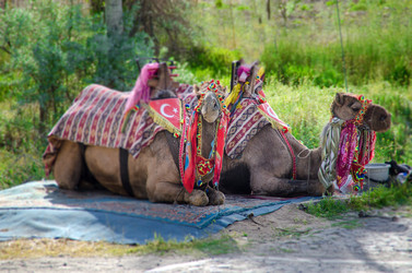 Similar image 21333995