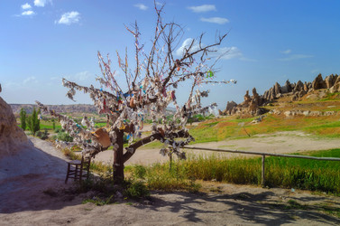 Similar image 21333997