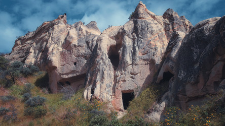 Similar image 21336695