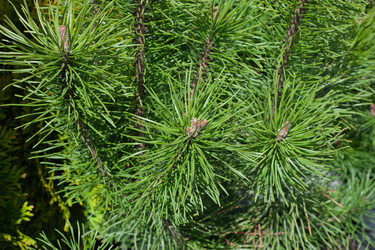 Similar image 21321386