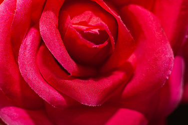 Similar image 21321390