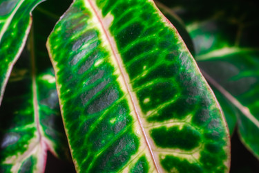 Similar image 21321391