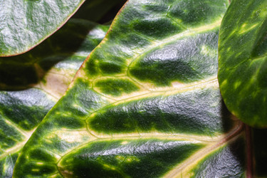 Similar image 21321393