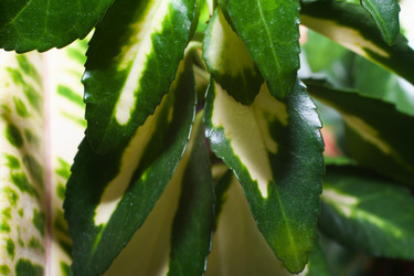 Similar image 21321395