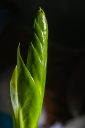 Similar image 21321397