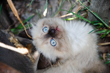 Similar image 21321399