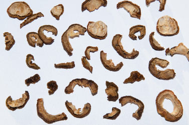 Similar image 21321401