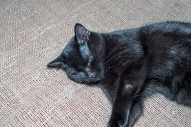 Similar image 21321430