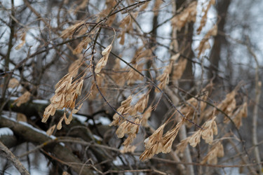 Similar image 21321332