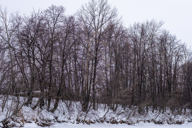 Similar image 21321333