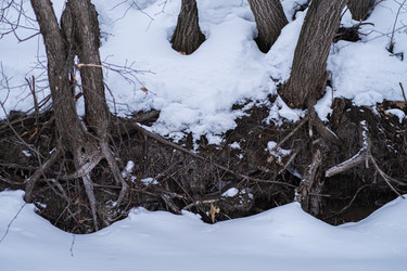 Similar image 21321335