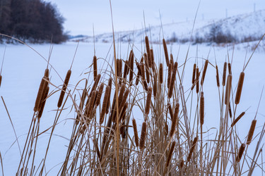 Similar image 21321336