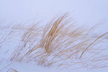 Similar image 21321337