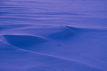 Similar image 21321339