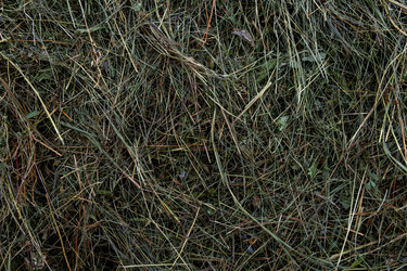 Similar image 21321341