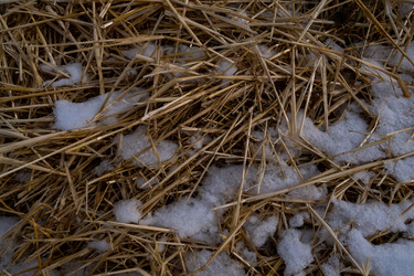 Similar image 21321342