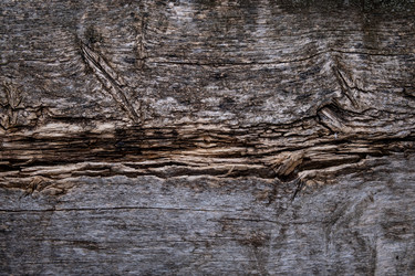 Similar image 21321344