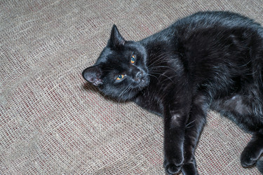 Similar image 21321437