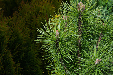 Similar image 21321455