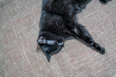 Similar image 21321478