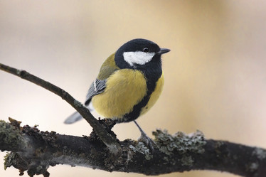 Similar image 21322517