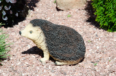 Similar image 21326405