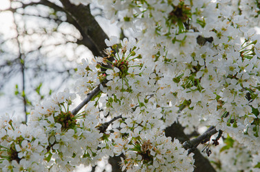 Similar image 21326407