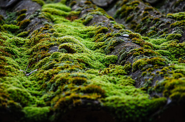 Similar image 21326422