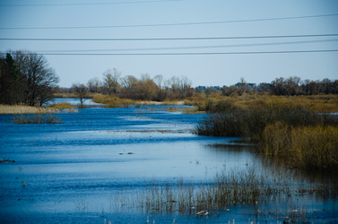 Similar image 21326430