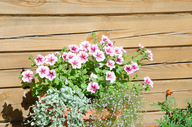 Similar image 21336436