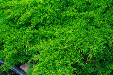 Similar image 21336445