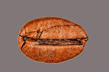 Similar image 21321349