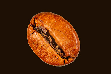 Similar image 21321350