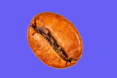 Similar image 21321351