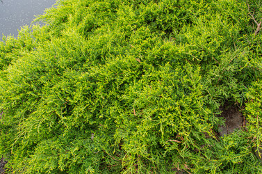 Similar image 21326435