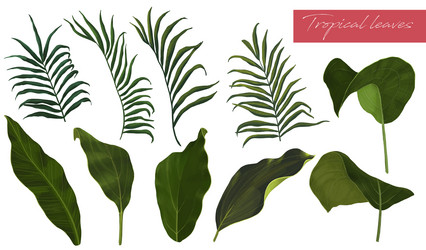 Similar image 21321578