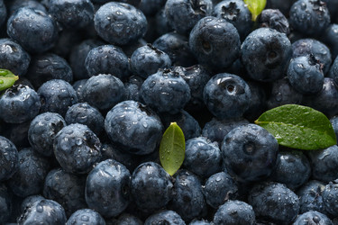 Similar image 21325674