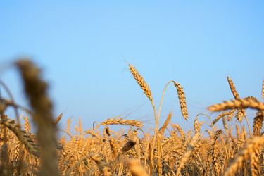 Similar image 21335047