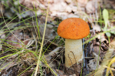 Similar image 21325735